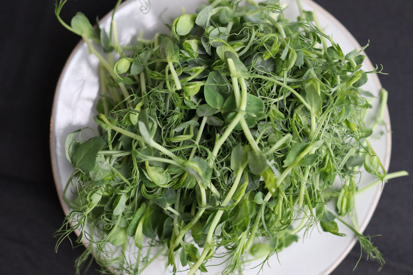 Pea Shoots